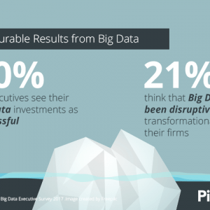 Big Data Executive Survey 2017